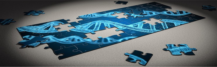 Healthcare LP puzzle PNG Healthcare LP puzzle PNG